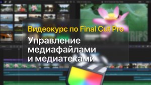 ? Управление медиафайлами и медиатеками — курс уроков по Final Cut Pro