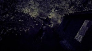 Спас Кота и немного паркура - STALKER Ловец снов #3