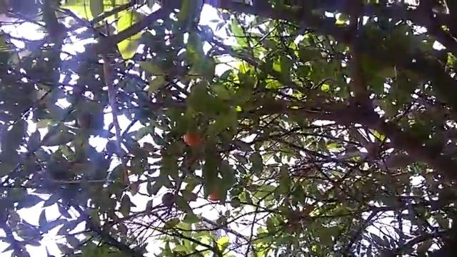 Отель Porto Azzurro Club Mare 2015 смотреть онлайн