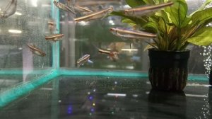 VID_20230310_171023.mp4