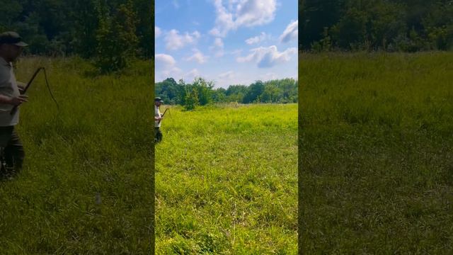 Эрдель на защите. Задержание атакующего airedale эрдель airedaleterrier собака  дрессировка