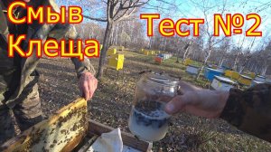 Тест №2   СМЫВ КЛЕЩА! Проверка на наличие клеща