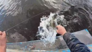 -Ловим судаков на троллинг.