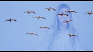 Марк Бернес - Журавли (Даша Копан кавер)