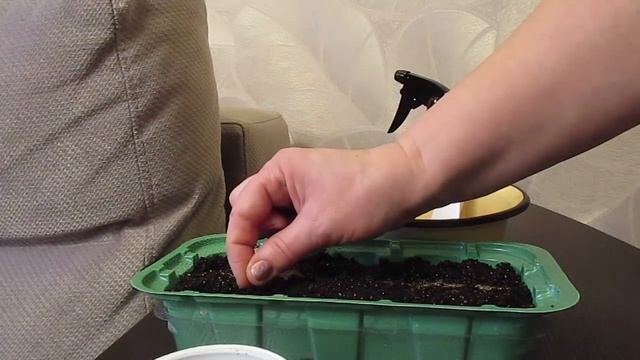 Посев дельфиниума.13.01.2019 смотреть онлайн