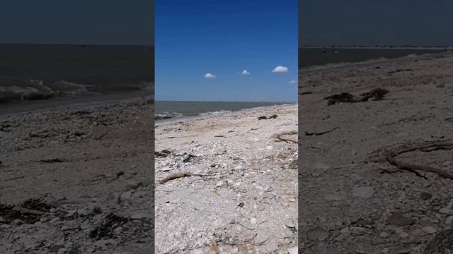 Станица у моря.