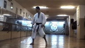 Техника каратэ Шотокан  Геннадий Бобкин