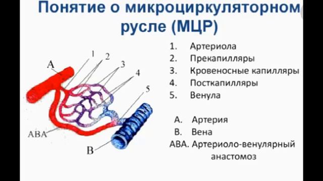 Защититесь от кровоизливания в мозг при гипертоническом кризе. (короткая версия). смотреть онлайн