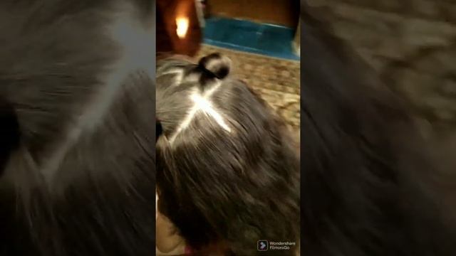 Прическа мишкины ушки?