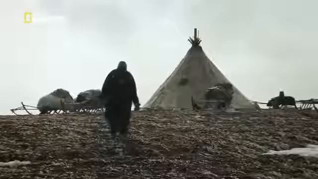 Нашли Мамонта