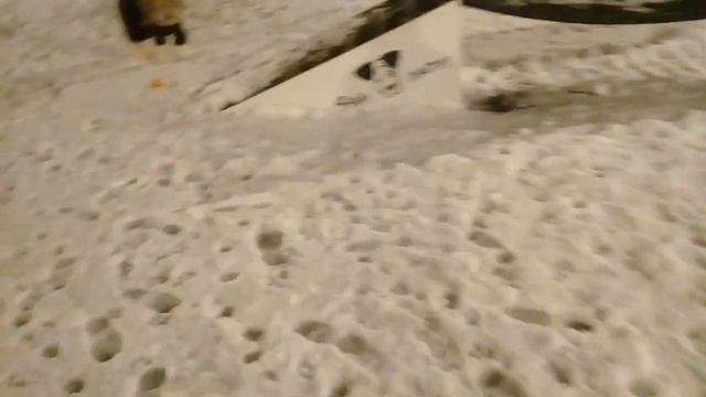 Пёс Тотоша и капризы московской погоды в ночь с воскресения на понедельник смотреть онлайн