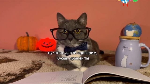 Смена Логотипа На Обычный (Карусель WEB 1.11.2023)0:00 смотреть онлайн