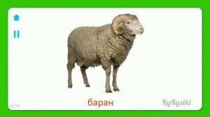 Развивающие карточки для детей домашние животные 0+ карточки Домана