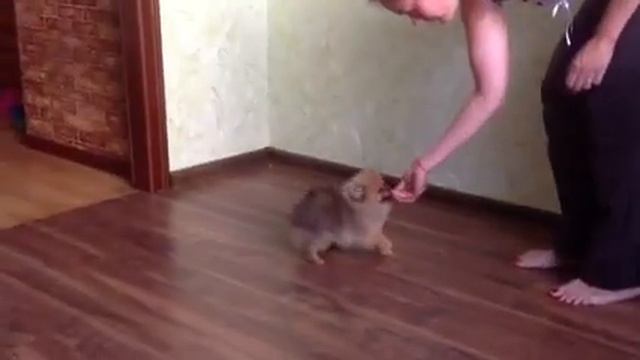 IMG 1077 3) смотреть онлайн