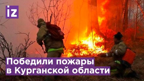 Все природные пожары в Курской области локализованы / Известия