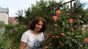 Розариум Ютерсен. Особенности сорта.
