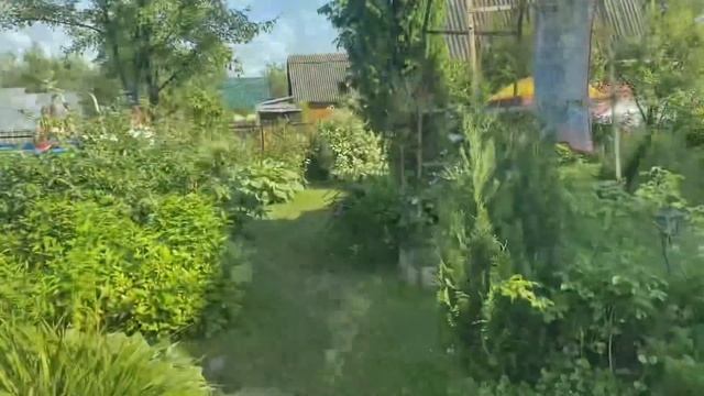 ВЛОГ Все в бассейн / Цветёт всё и сразу ?? / Обрили Женю / Стригу собаку 18 июня 2020 г. смотреть онлайн