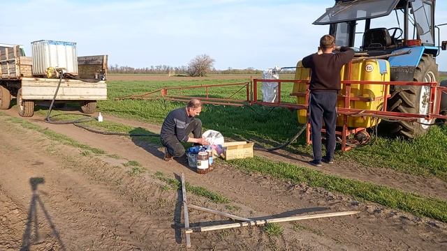 Эксперимент!!!! Подкормка ячменя ДРОЖЖАМИ ! смотреть онлайн