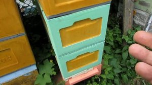 верхний леток под крышей улья - пчелы хорошо охраняют леток, хорошо развиваются и носят мед