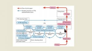 Принцип печати лазерного цветного принтера / МФУ. Основные типы конструкций.