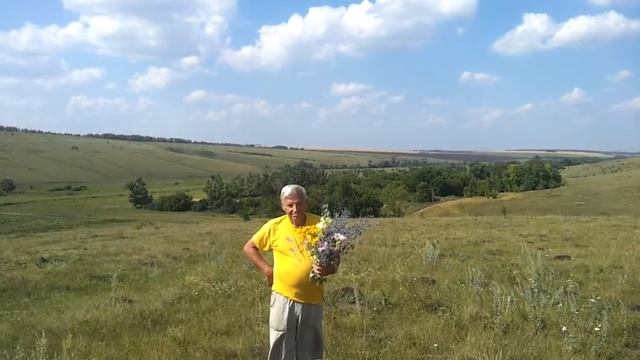 Воронежская область Нижнедевицкий район. Буденный, Ключи. Вид Ключи, Лес Висленки, Мертьяново HD смотреть онлайн