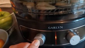 GARLYN D-08 - Фрукты в электросушилке - Мой обзор