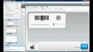 How to use the Import Data and Print function in DYMO Label Software?