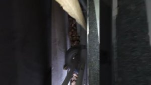 Лодка Тактика 430дс высота борта