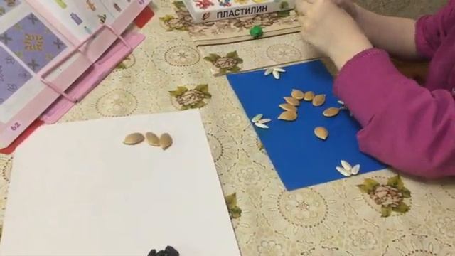 Узорная аппликация из семян фруктов и овощей смотреть онлайн