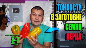 КАК СОБРАТЬ СЕМЕНА ПЕРЦА БОЛГАРСКОГО? ЗАГОТОВКА СЕМЯН ПЕРЦА. ЭКОСАД (ОГОРОД) И ТЕПЛИЦА 22-38