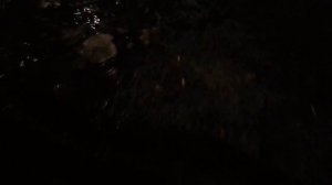 Мёртвое озеро в Нижнекамске!