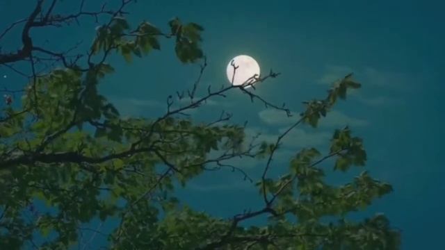 УСПОКАИВАЮЩЕЕ ЧТЕНИЕ КОРАНА СУРА АЛЬ ИМРАН ОМАР ХИШАМ