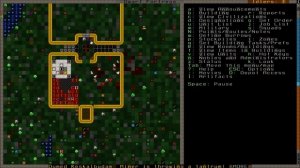 Dwarf Fortress 2012 - 12 - Очищающая река