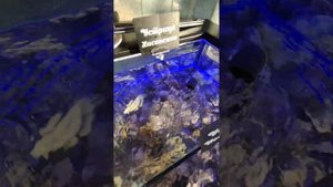 Ресторан Шато Тамань Анапа в комплексе Граф Толстой