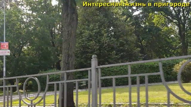Сын везёт меня в поликлинику, Где работает моя мама, Подарок от Витасика, Влог