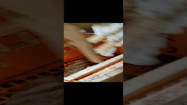 Пчело-матки с инкубатора смотреть онлайн