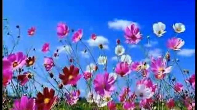 Отцовская Любовь -  Анатолий Киреев