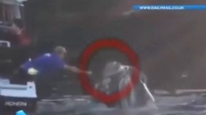 САМЫЕ НЕВЕРОЯТНЫЕ КАДРЫ С КИТАМИ!!! Нападение китов на людей.