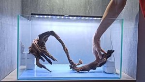 Оформление аквариума на 70 литров. Хардскейп.