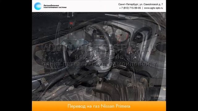 Nissan Primera (P12) 14.01.2013 смотреть онлайн