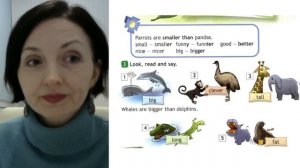 Spotlight 4 кл. (Спотлайт 4кл.)/ Урок 21 "Wild about Animals!" 8a стр. 62-63