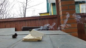 2021 04 13 гриб трутовик дымит долго и затушить его не так то просто