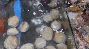 Нячанг 2023, Вьетнам, погода, как добраться с аэропорта до отеля, и где поменять денег.