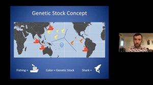 "The grainy fisheries management of the Silky Shark, a genetic perspective"