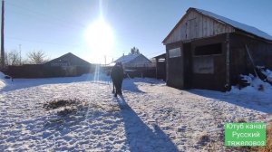 Лошади на тебенёвке.