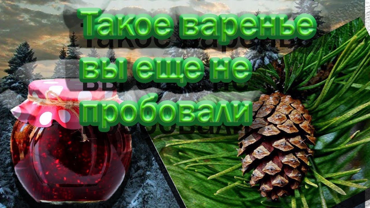 Такое варенье вы еще не пробовали  Варенье из сосновых шишек
