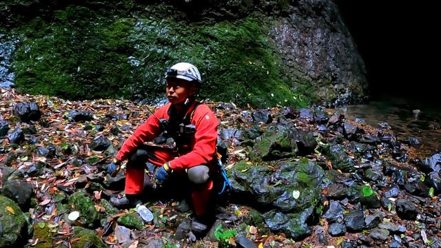 小伙下无底天坑寻找水源，惊现阴何倒流奇观！幽冥草居然长满洞底！ #户外小北哥 смотреть онлайн