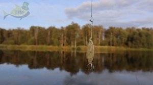 Как на что и где ловить щуку в сентябре на спиннинг? Новые секреты ловли щуки осенью.