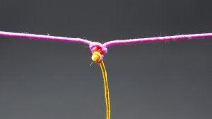 Отводной поводок.