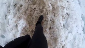 Зимний трейл в Никола-Ленивце / Nikola-Lenivets Winter Wild Trail 2021